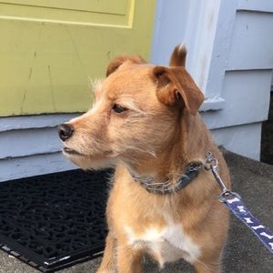 Meet your Posher, Vanderee